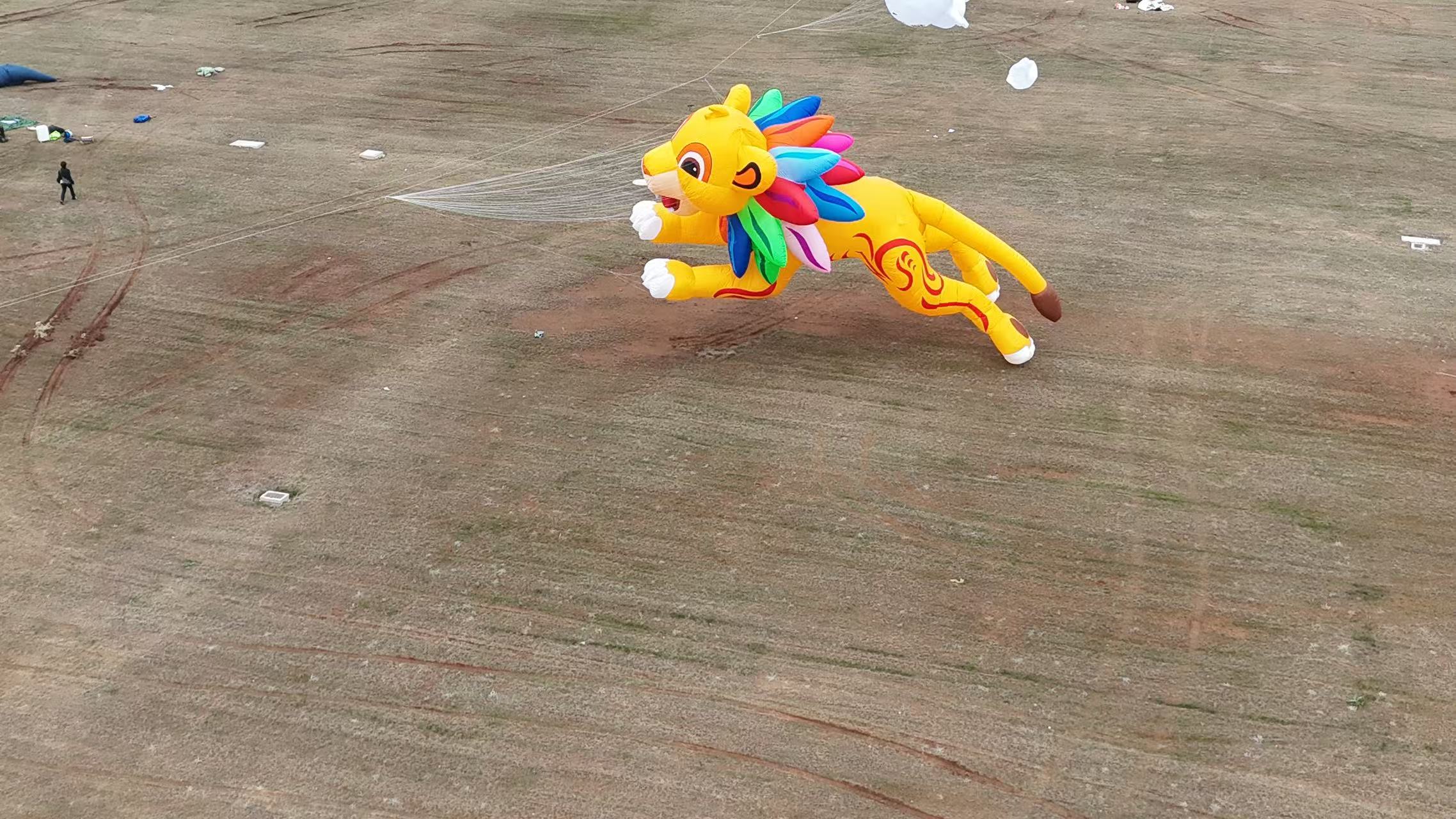 遂宁市品牌风筝定制风筝制作 - 哪里好