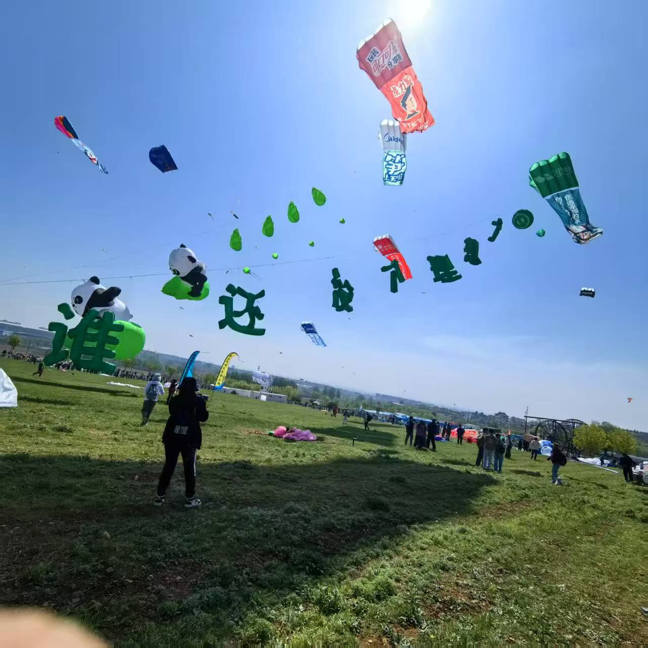 遂宁市风筝定制风筝定制 - 排名